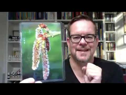 Bachblüten gegen Angst und innere Unruhe Wolfgang Riedl