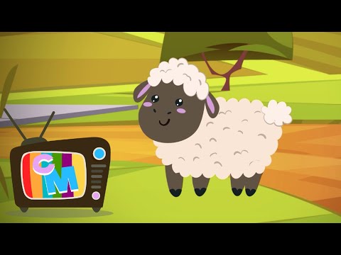 Oita mea 🐑- Clopotelul Magic - cantece si desene pentru copii