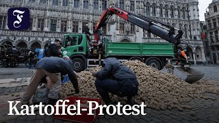 Bauern gehen in Brüssel auf die Straße