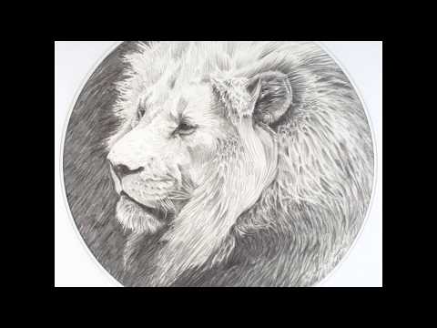 Wildlife Art Sketches and Pencil Drawings by Alan M Hunt