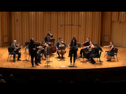 J. S. Bach - Erbarme Dich, from St. Matthew's Passion