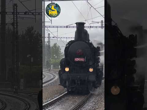 Dampfsonderzug mit 434 2186 in strömendem Regen in Čerčany #shorts