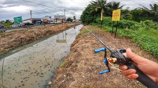 Download lagu MISI MEMBURU Haruan Longkang di Tepi Jalan Yang Sesak!! mp3