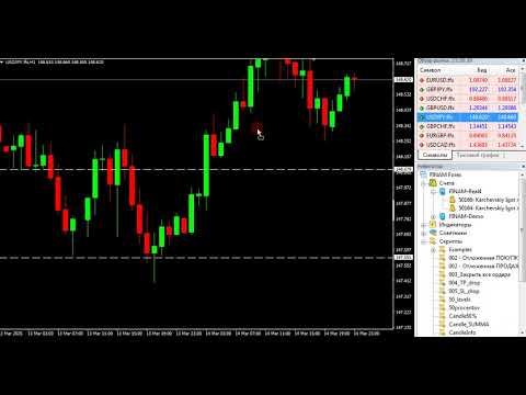 Video Candle 50 procentov