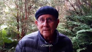 Eduardo Vilches, Relato del Bosque