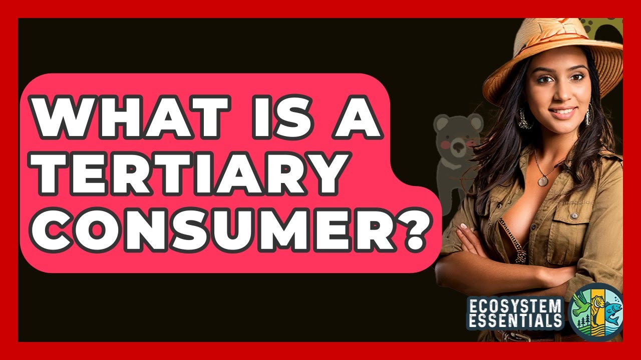What Is A Tertiary Consumer? - Ecosystem Essentials