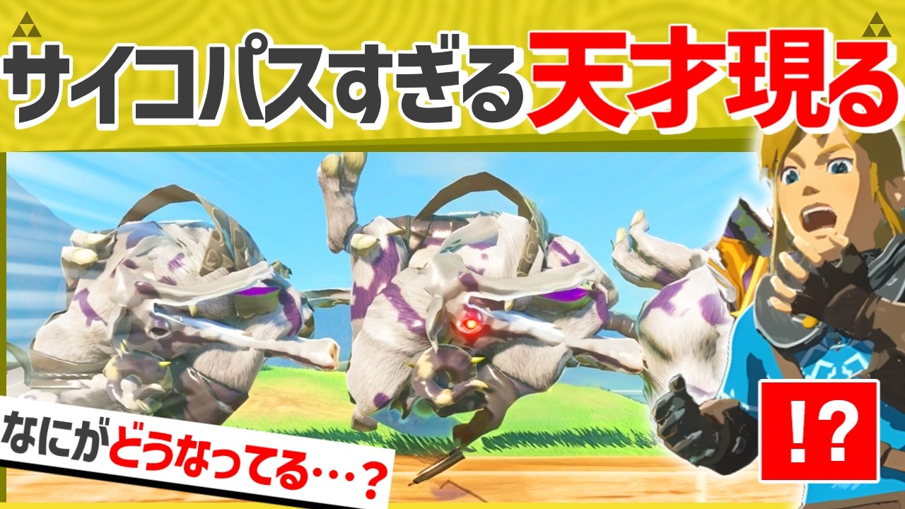 【爆笑】驚異的な方法でモリブリンを圧縮した天才現るｗｗ【ティアキン】【面白クリップ集】