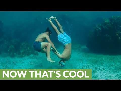 Free divers hold their breathe and battle it out - who will win!?