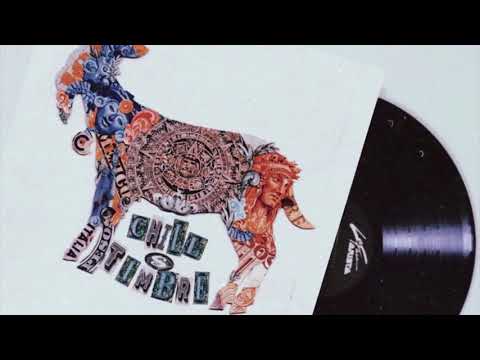 Chill Timbre - Show me life