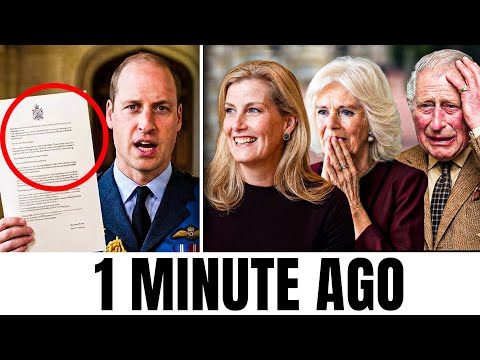 Buckingham Palace Trembles Prince William Approved Title Change For Duchess Sophie's Children!