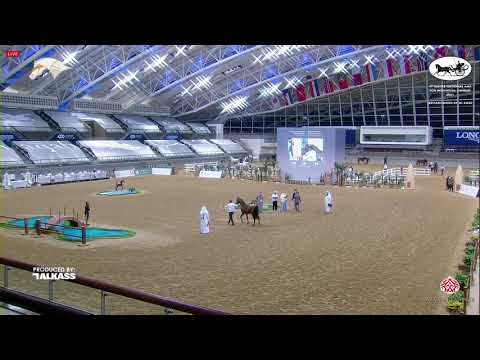 N 194 BAHER AL SHAQAB   9th Qatar National AHS for Individual Owners   Stallions 7 10 Years Old Clas