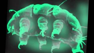 Tangerine Dream. Resurrection By The Spirit. (2).