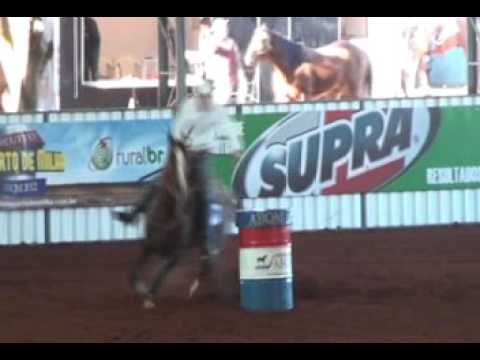 Johnnie Walker Bold - Venda de coberturas