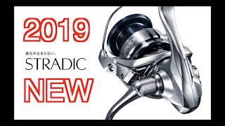 Shimano 2019 stradic