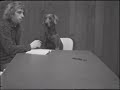 William Wegman Spelling Lesson