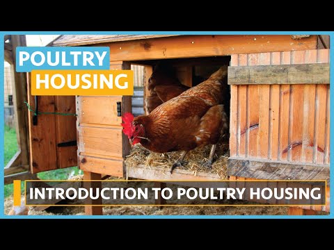 Poultry House Construction Lesson 1 Introduction