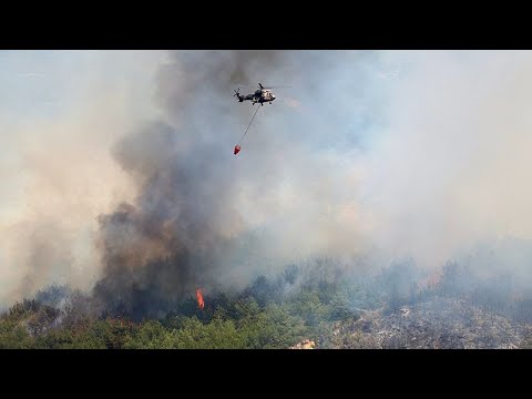 Türkei kämpft gegen Waldbrände, während Hitzewelle Europa erfasst