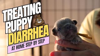 Treating Newborn Puppy Diarrhea At Home