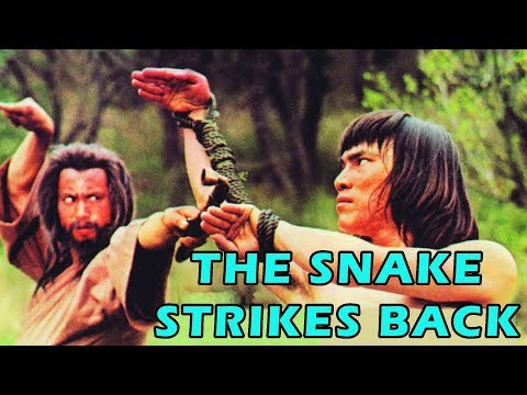 afbeelding Wu Tang Collection - Snake Strikes Back