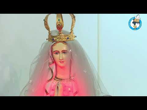 HOLY MASS Live @ 7.00 am --- 28.05.2020