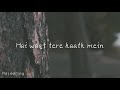 Tum Mile Love Reprise Lyrics Love Status L