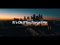 It S Ok If You Forget Me Nick Project Remix