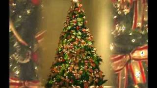 What Are You Doing New Year's Eve? by Billy Paul Williams