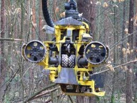 Wie man Bäume in Sekunden fällt - Doku