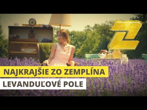 NAJKRAJŠIE ZO ZEMPLÍNA - Levanduľové pole rodiny z okresu Medzilaborce