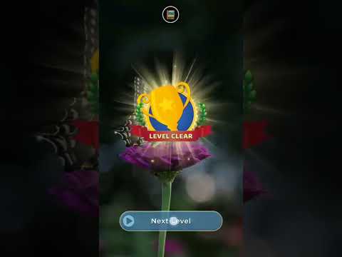 WOW: 2 Crossword & Word Game Video