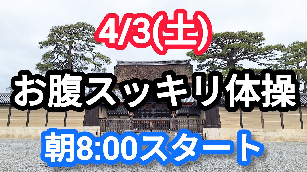 ナマケモノのお腹痩せチャンネル がライブ配信中！