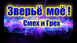 ПРИКОЛЫ/ЛУЧШАЯ ПОДБОРКА ПРИКОЛОВ/РЖАЧ ДО СЛЕЗ ЗА ОКТЯБРЬ - 2018 ГОДА Приколы