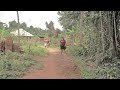 Do Your Best To Watch This Interestin Special Village Royal Movie Released Again Today African Movie