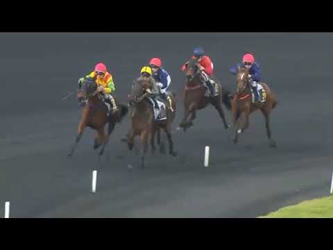 Race 2  Vincennes  France -11 Feb 2026