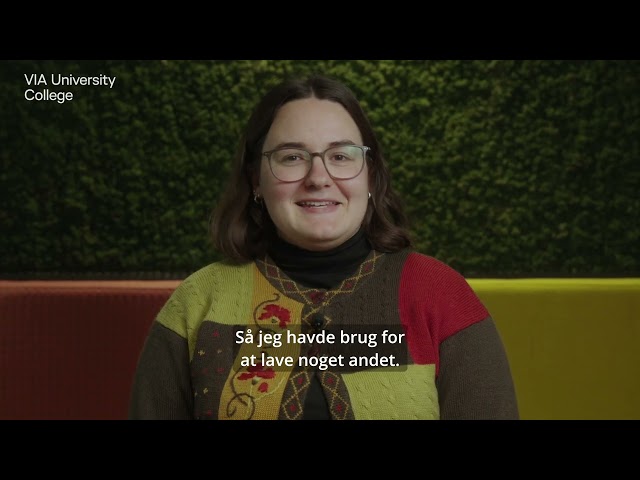 Videomosaik1
