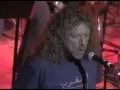 Bummer In The Summer - Robert Plant Feat.Johnny Echols (Arthur Lee Benefit)