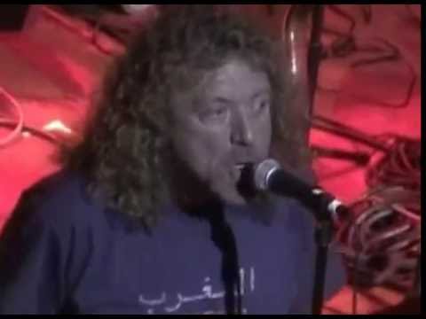 Bummer In The Summer - Robert Plant Feat.Johnny Echols (Arthur Lee Benefit)