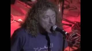 Bummer In The Summer - Robert Plant Feat.Johnny Echols (Arthur Lee Benefit)