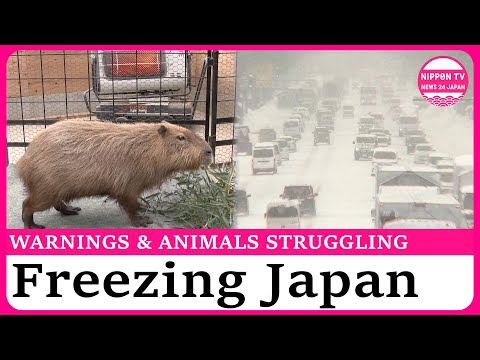 Powerful cold wave brings heavy snow and blizzards across Japan