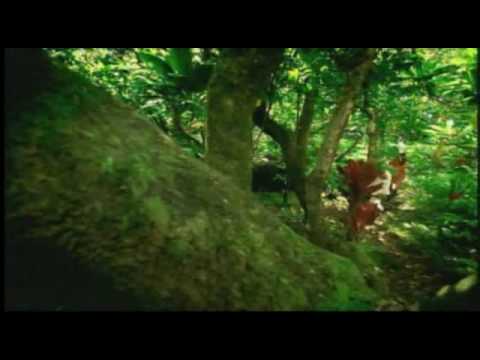 LL Cool J - Paradise Ft Amerie (Music Video + Lyrics)