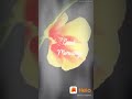 Paas Aao Main Tumhe Dekh Lu Kareeb Se