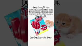 Download lagu Gary that's enough popsicles | #youtubeshorts #cat #funny #catmemes mp3