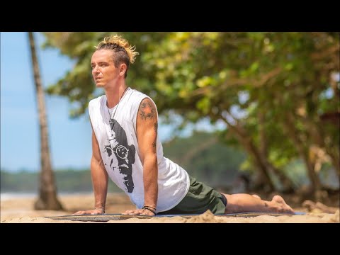Beautiful Beginner Yoga  Hatha Class For Everyone Tofino