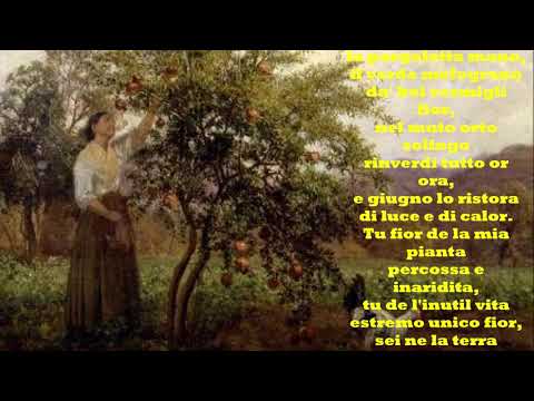 Giosuè Carducci: ANCIENT CRYING - Gianni Caputo's Videopoems