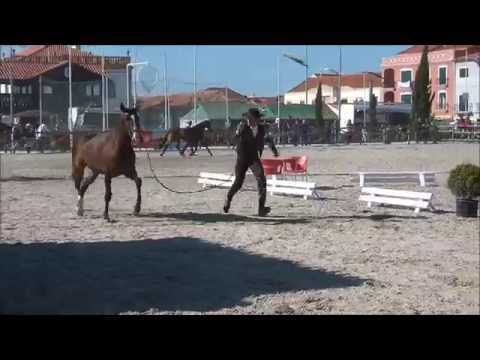 Guhapa ExpoEgua 2014