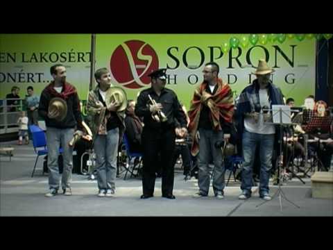 Lusta Dick szólója - Macskafogó Filmzene