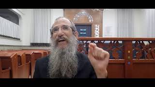 הרב מאיר ברוך וילהלם - פרשת במדבר - זה רק אבק....