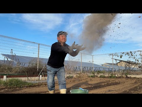 やってよかった畑の土作り大成功でした！野菜作り【総集編5】26/1/4