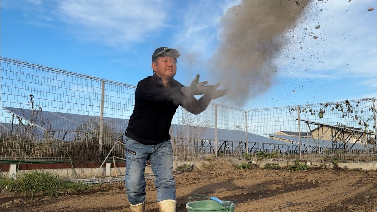 やってよかった畑の土作り大成功でした！野菜作り【総集編5】26/1/4