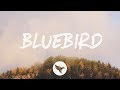 Miranda Lambert - Bluebird (Lyrics)